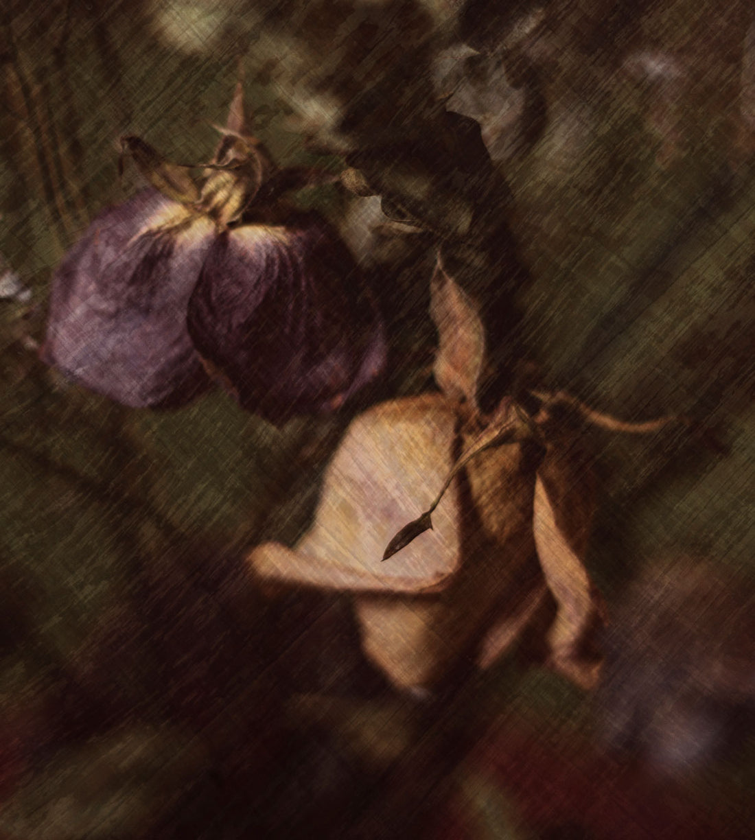 Example of picture of dead flowers with texture added in Photoshop.