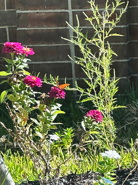 When Rest Becomes Its Own Kind of Art