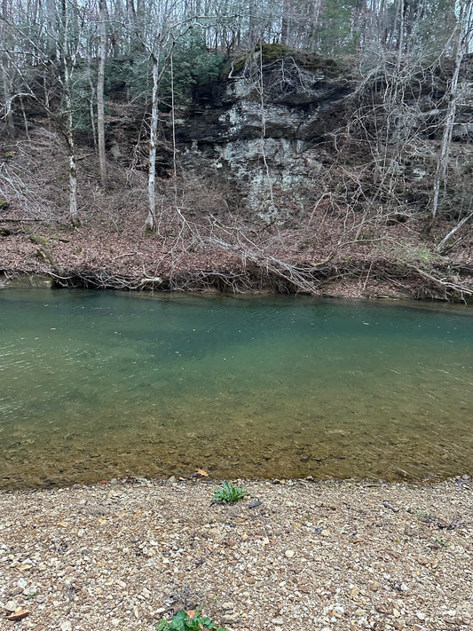 Piney River Reset