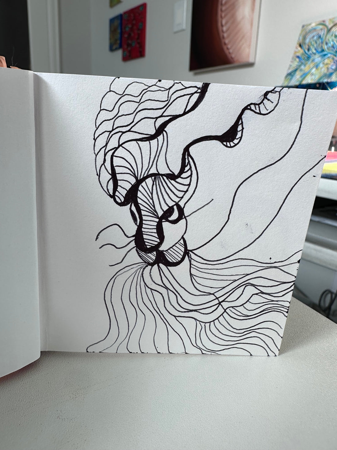 What the Sketchbook Knows