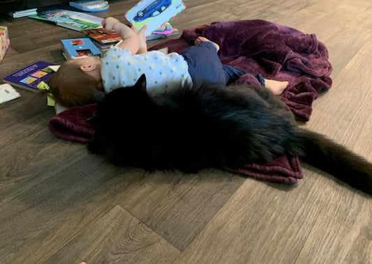 When Life Brings Stillness to the Studio