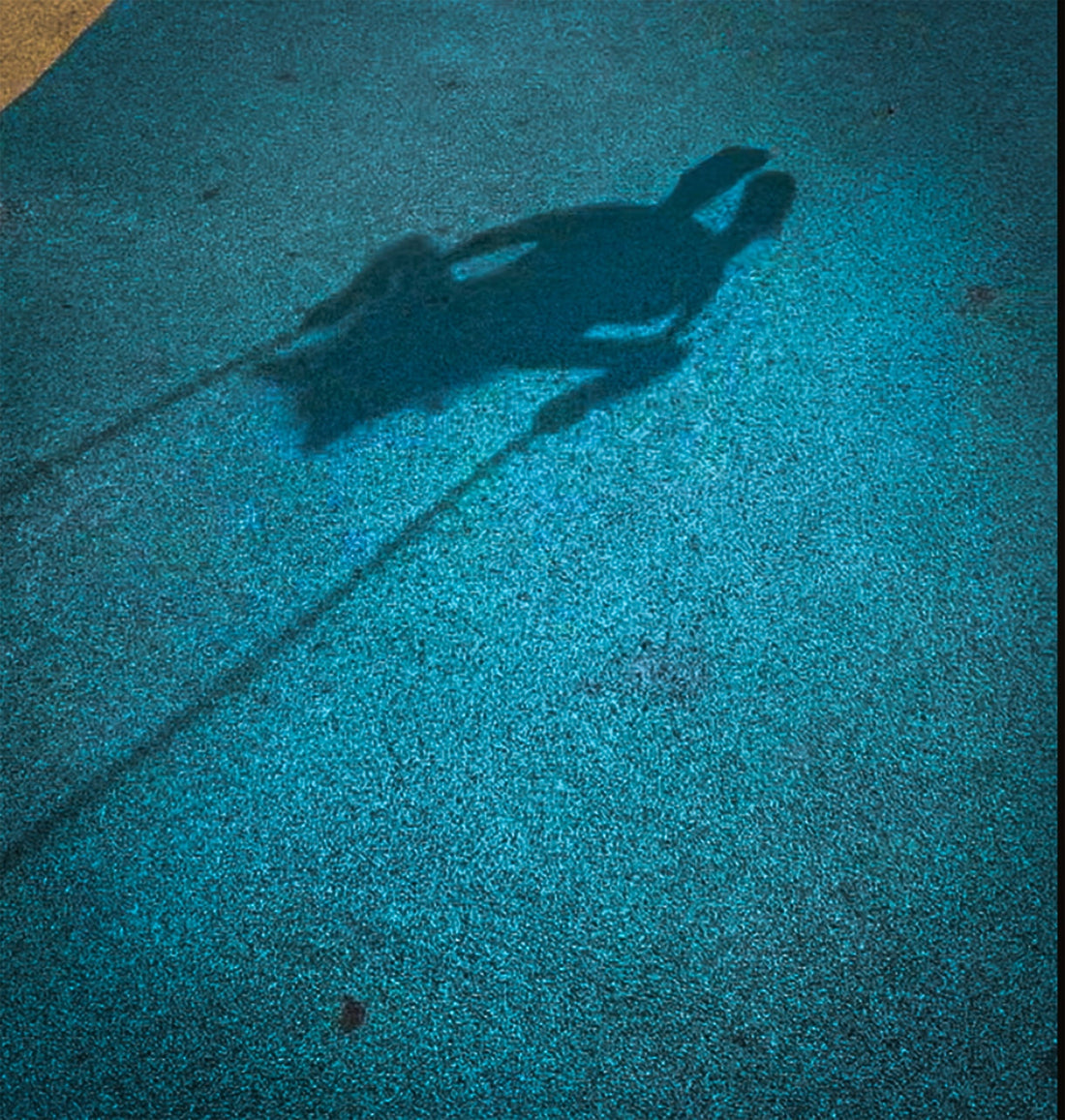shadow of swing