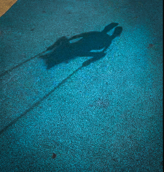 shadow of swing