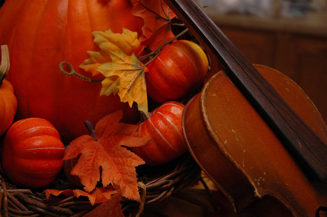 A Week of Gratitude: The Quiet Threads That Carry Me