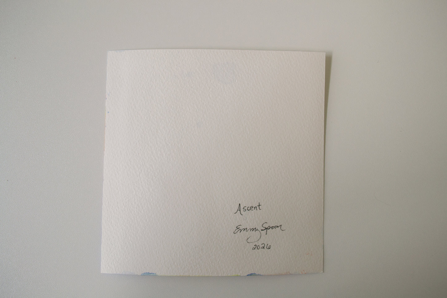 signed watercolor artwork by emmy spoon