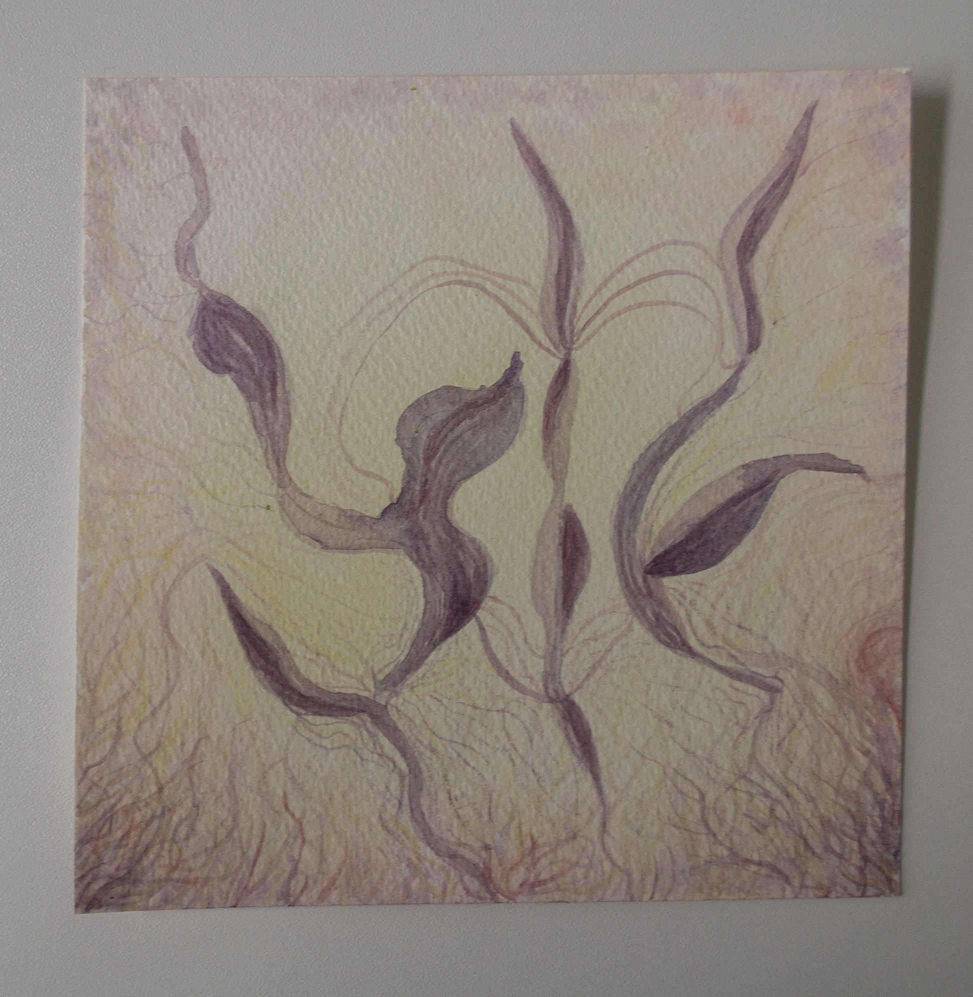 Interwoven (2026)
