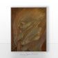 Lingering (2026) Fine Art Print by Emmy Spoon