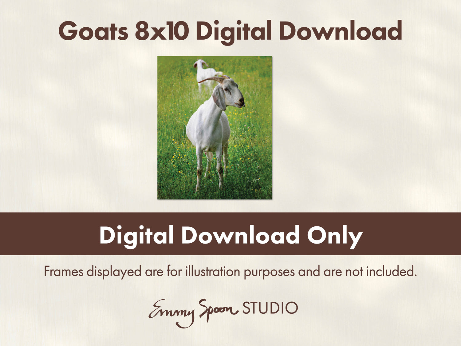 Goats 8x10 Digital Download by Emmy Spoon. Digital Download Only. Frames are for Illustrative purposes and are not included.