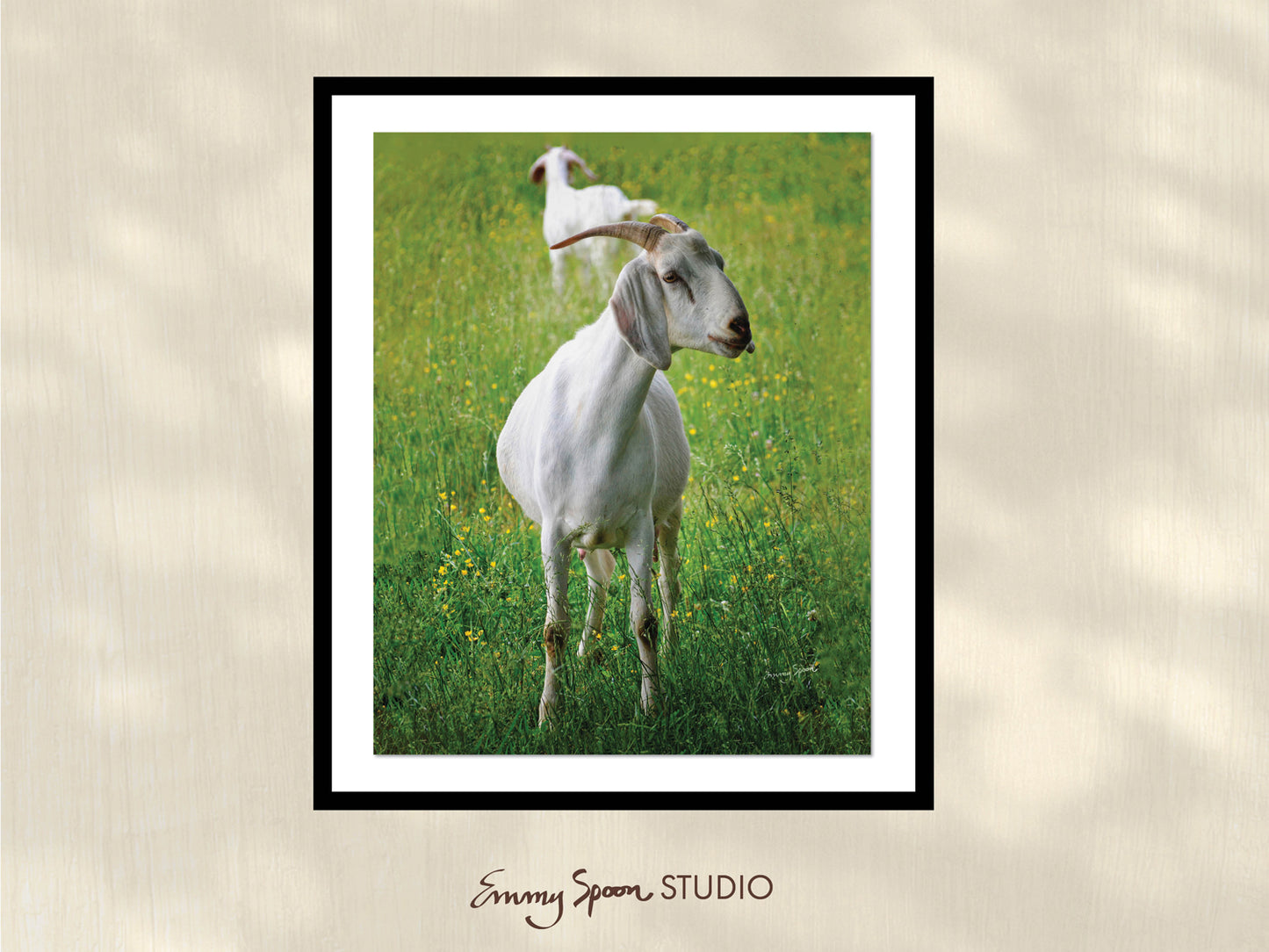 Goats 8x10 Digital Download by Emmy Spoon