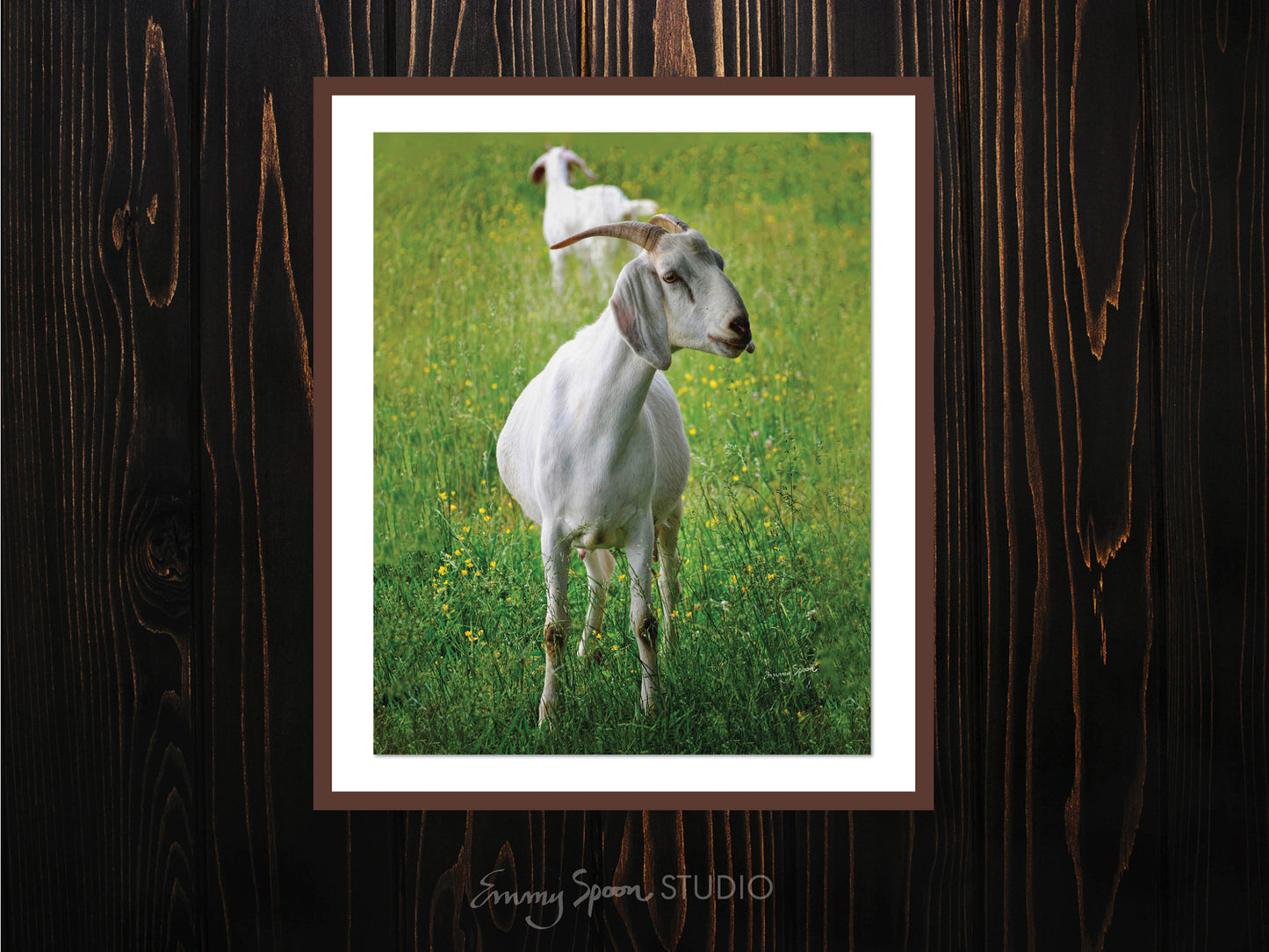 Goats 8x10 Digital Download by Emmy Spoon